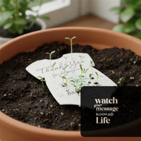 A plantable onesie baby shower favor by Seed Bloom Gifts, displayed on top of a terracotta pot with a sprouting flower.