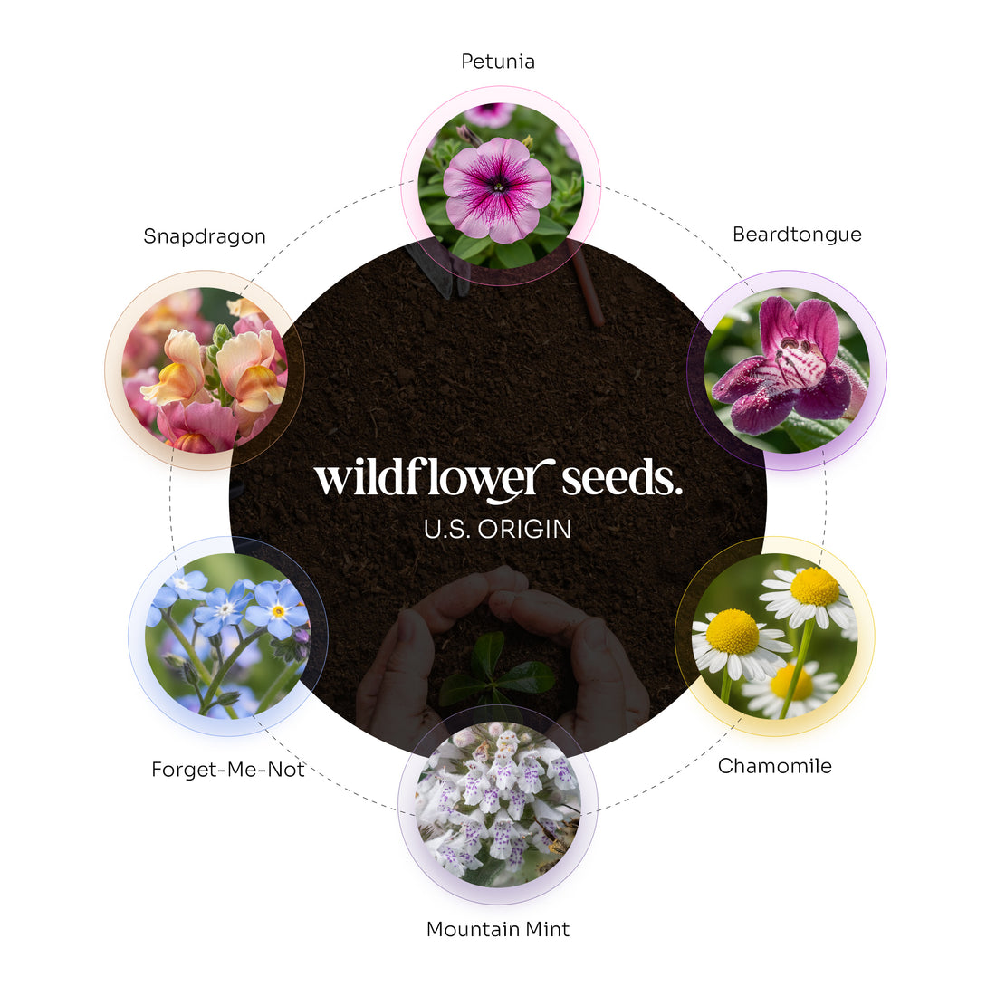 Diagram showing a mix of U.S.-origin wildflower seeds, featuring labeled images of petunia, beardtongue, chamomile, mountain mint, forget-me-not, and snapdragon arranged around the text “wildflower seeds.”