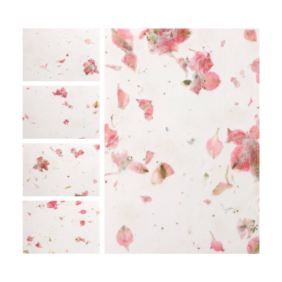 A white thank you card with a floral pink design, named "Bloom Thank You Cards.
