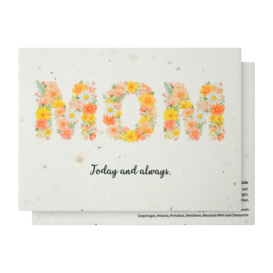 A beautiful Mother&