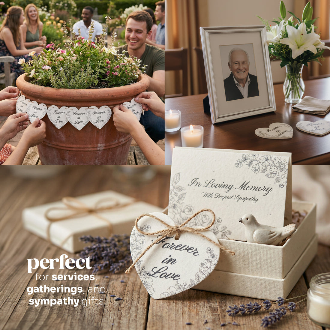 Memorial items including a potted plant, photo frame, and sympathy cards on a wooden table by Seed Bloom Gifts