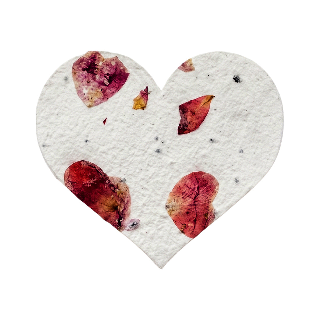 Large Rose Red Heart Plantable Seed Paper – Set of 50 - Seed Bloom Gifts