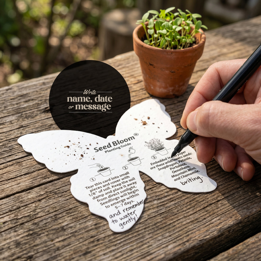 Bloom Butterfly Memorial Favors