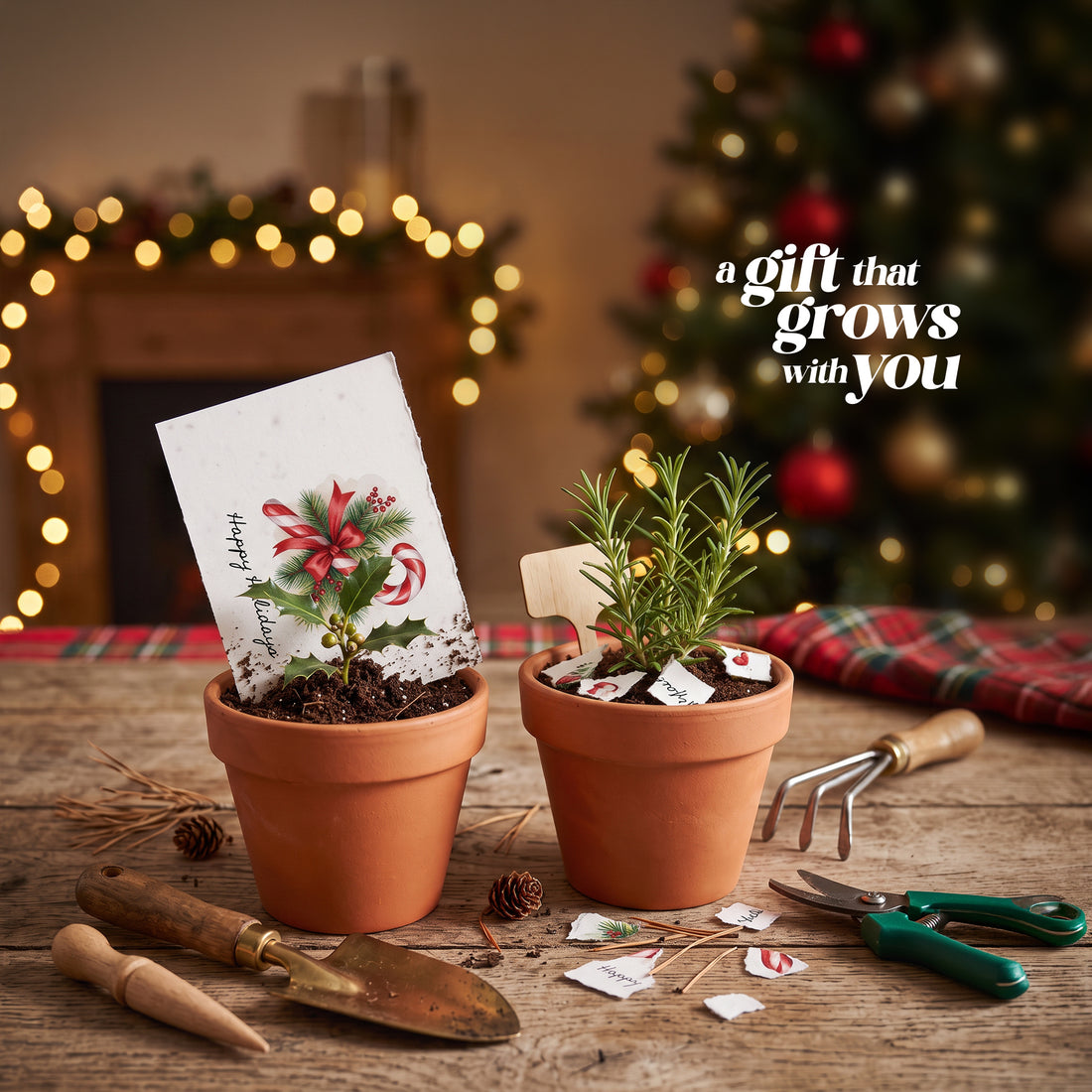 Bloom Illustrated Christmas Cards