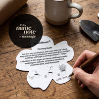 Personalized seed paper thank you tag with flower shape showing SeedBloom planting guide, illustrated step-by-step instructions