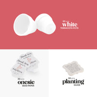 White terracotta pots, pink onesie plantable seed paper baby shower favor by Seed Bloom Gifts, and planting guide on a red background