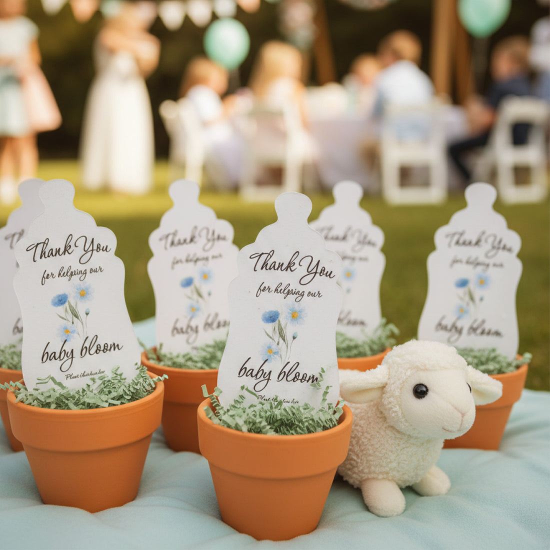 Decorative potted plants with &