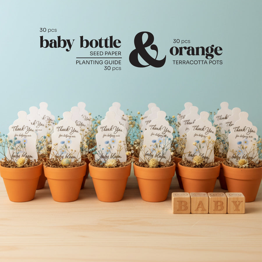 Set of terracotta pots with baby bottle seed paper by Seed Bloom Gifts  and wooden blocks on a light blue background