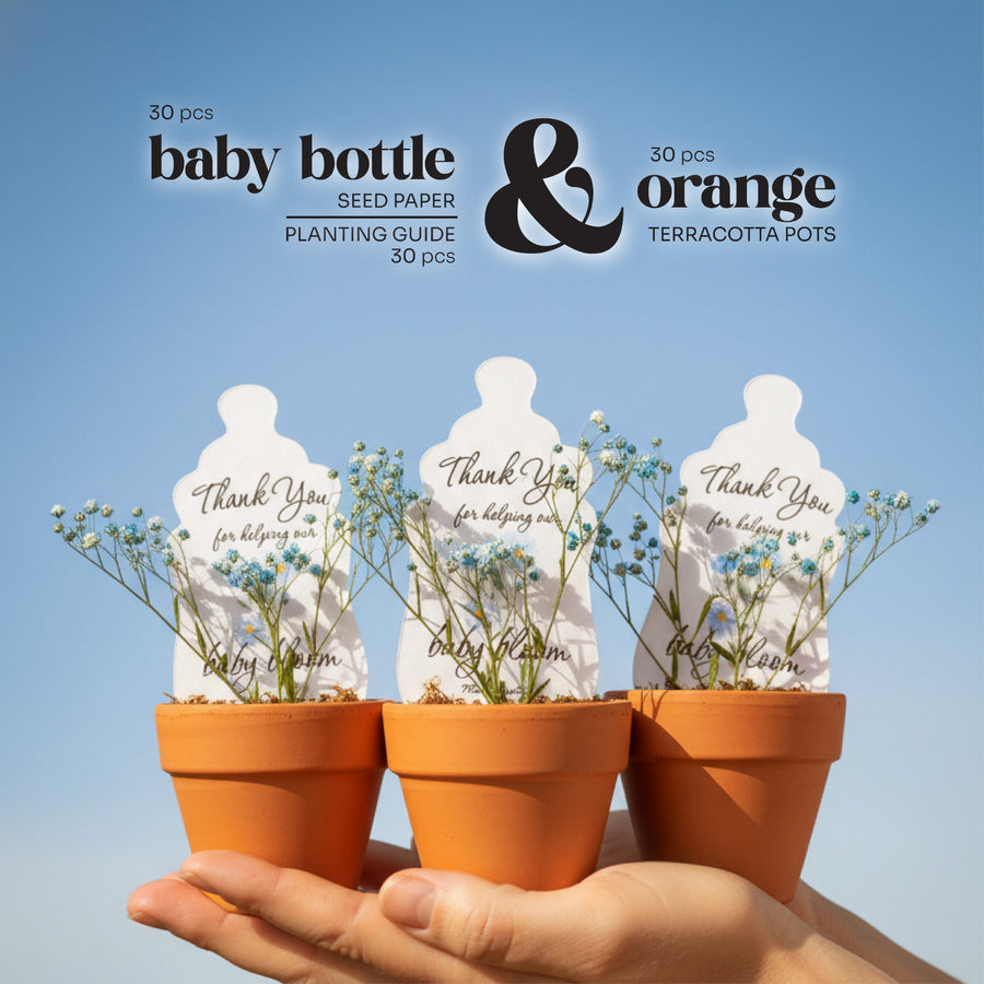 Three terracotta pots with Baby Bottle seed paper by Seed Bloom Gifts and plants against a blue sky background