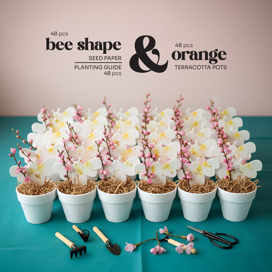 Bee Shaped Seed Paper Baby Shower Favor By Seed Bloom Gifts plants in terracotta pots with tools on a teal surface.