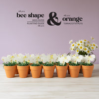 Terracotta pots with Bee Shaped Seed Paper Baby Shower Favor By Seed Bloom Gifts seed paper and a plant on a light wooden surface.