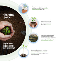 Bloom Plantable Herb Seed Paper