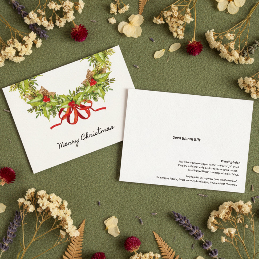 Seed bloom gift card with Christmas design on a green background with flowers