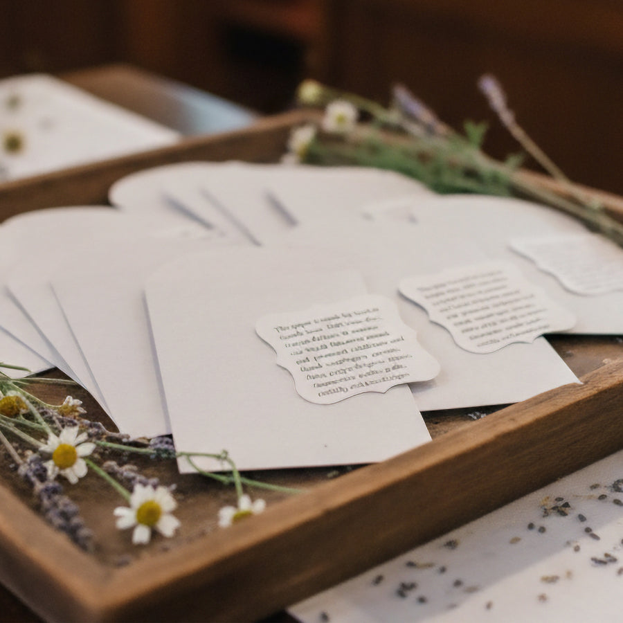 Celebration of Life Hummingbird Seed Paper Bundle – 48 Plantable Hummingbirds, 50 Planting Guides