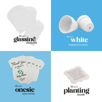 Collection of baby items including glassine envelopes, white terracotta pots, onesie seed paper, and planting guide on a blue background.