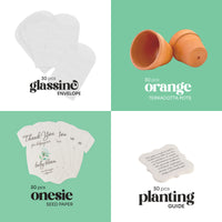 Collection of baby items including glassine envelopes, terracotta pots, onesie seed paper, and a planting guide on a green and white background.