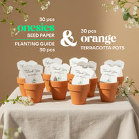 Set of seed paper and terracotta pots with 'onesies' branding on a beige background.