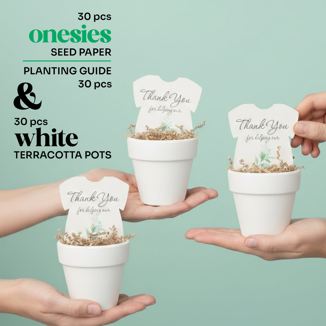 Seed paper and white terracotta pots with planting guides held by hands against a light green background.