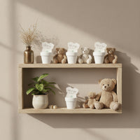 Nursery shelf décor featuring plantable seed paper onesie baby shower favors in white pots, arranged alongside teddy bears, small plants, and neutral-toned accents.