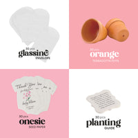 Collection of glassine envelopes, terracotta pots, onesie seed paper, and planting guide on a pink background.